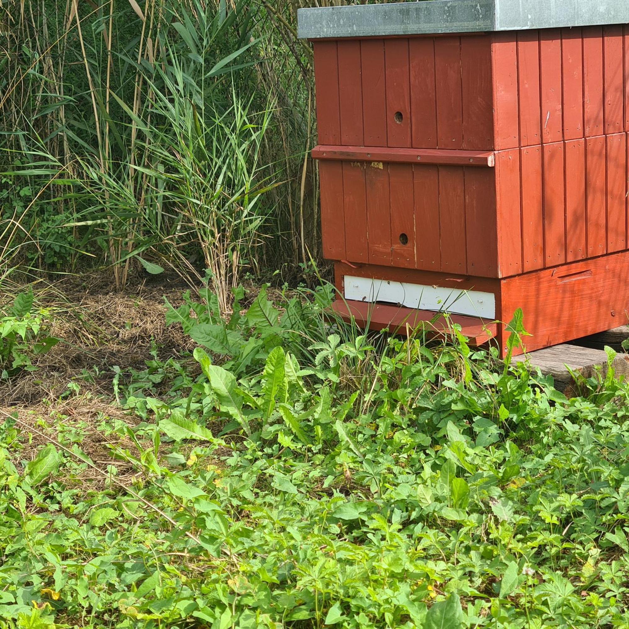 Ferienwohnung Nakonci Vacenovice Exterior foto